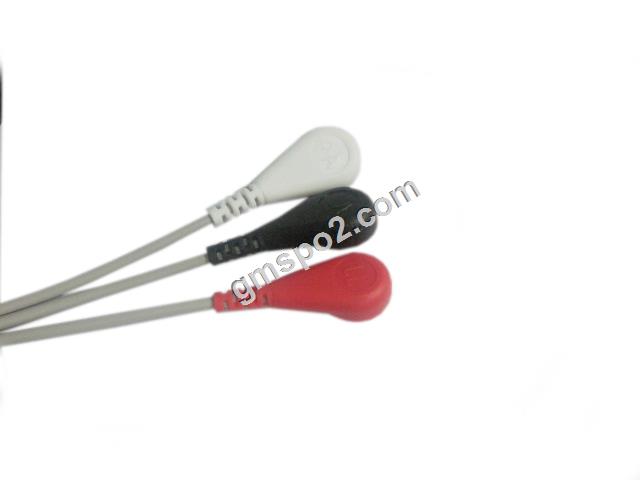 3-LEAD snap aha-.jpg