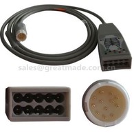 سازگار M1663A HP 10-lead Trunk Cable، HP 12PINs .2M