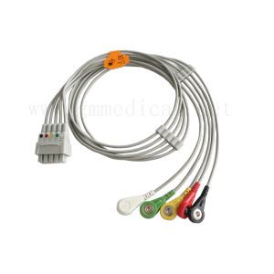 چند لینک مارکت جنرال الکتریک Leadwire مجموعه، 5-سرب و ضربه محکم و ناگهانی و IEC و در 29 (76 سانتی متر) & مقابل 2PIN